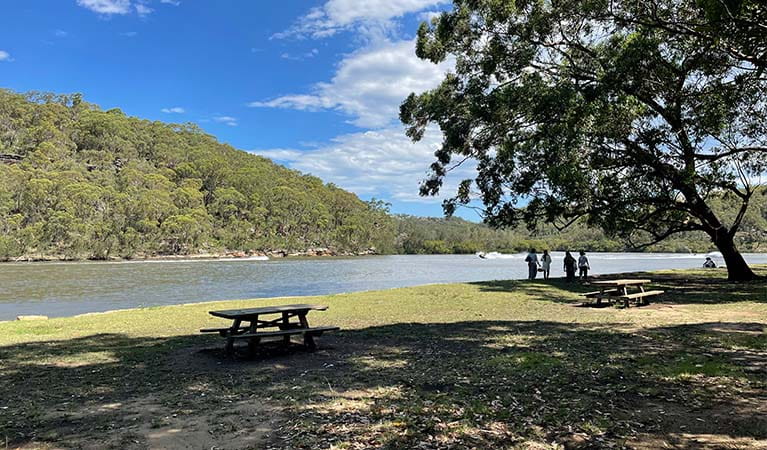 Burrawang Reach picnic area in the Georges River National Park