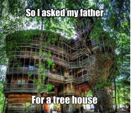 Treehouse-level-Engineer.jpg