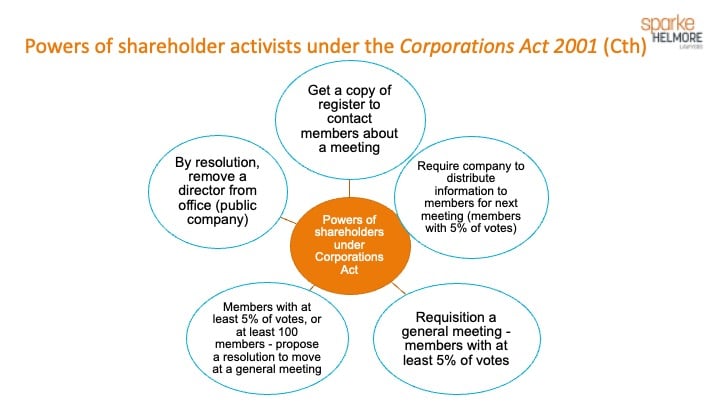 powers of shareholder activists