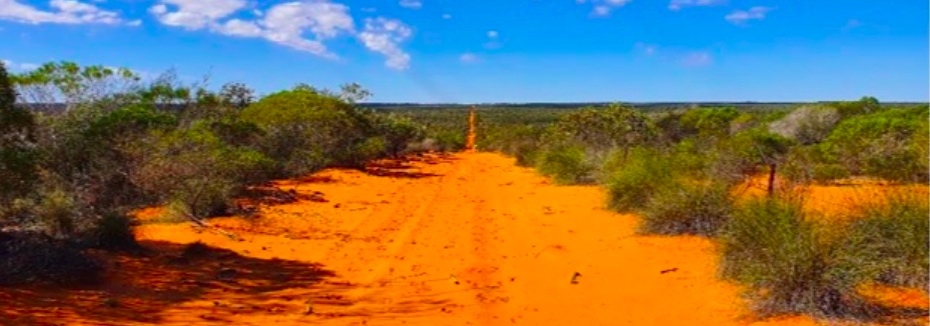 Coburn mineral sands project (cr: Strandline Resources)