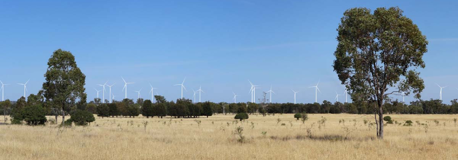 Wind farm (cr: Octopus Australia)