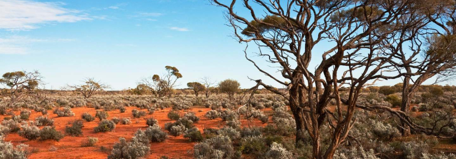 Northern Territory landscape (cr: World Travel Guide)