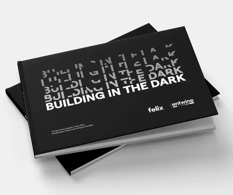 Building in the Dark ebook mockup by Felix and Entwine