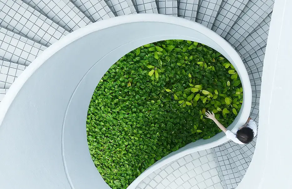 Person descending a spiral staircase surrounded by greenery, representing sustainability and responsible procurement.